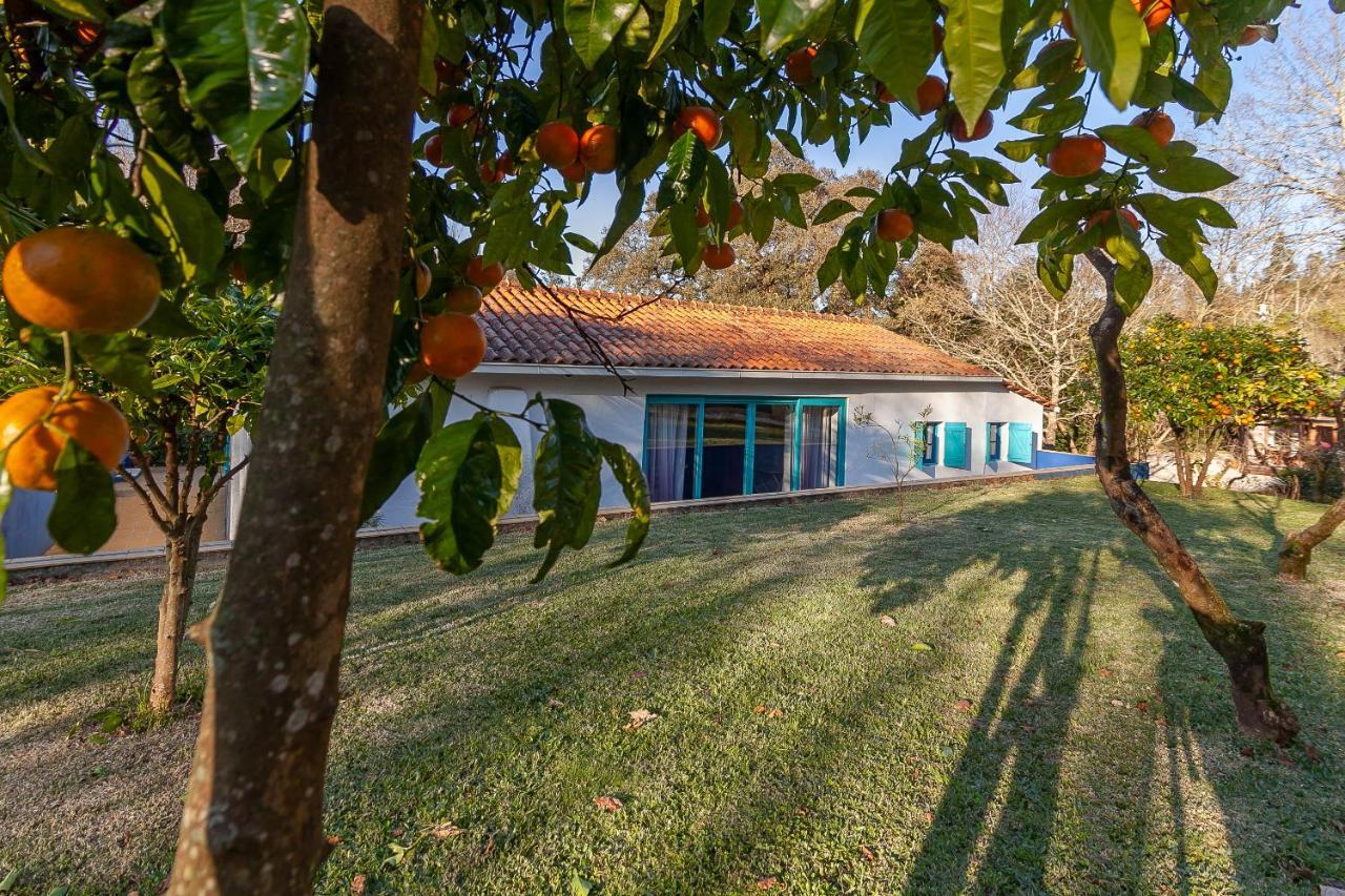 Vale Da Silva Villas - Homes Albergaria-a-Velha Bagian luar foto