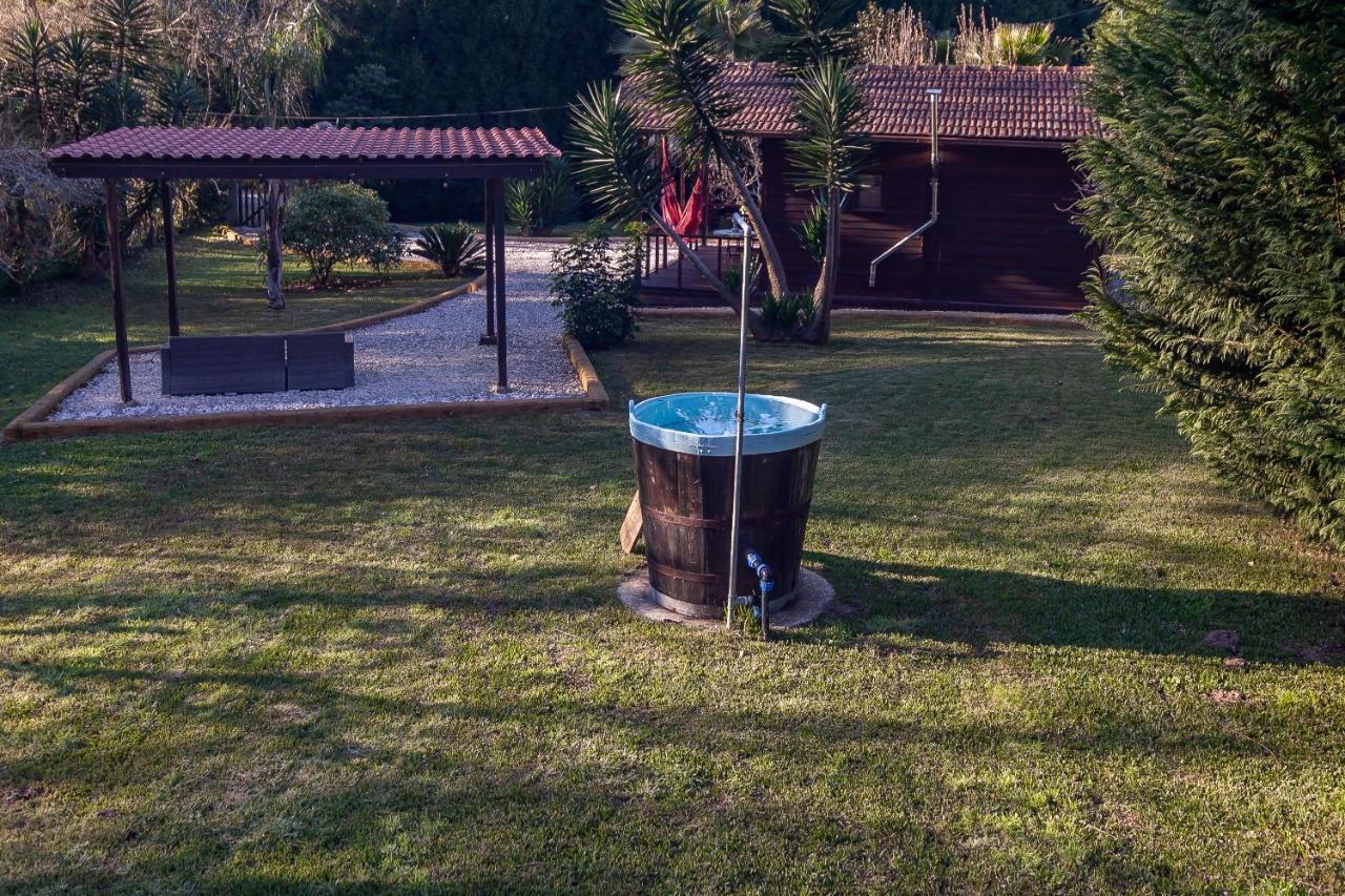 Vale Da Silva Villas - Homes Albergaria-a-Velha Bagian luar foto