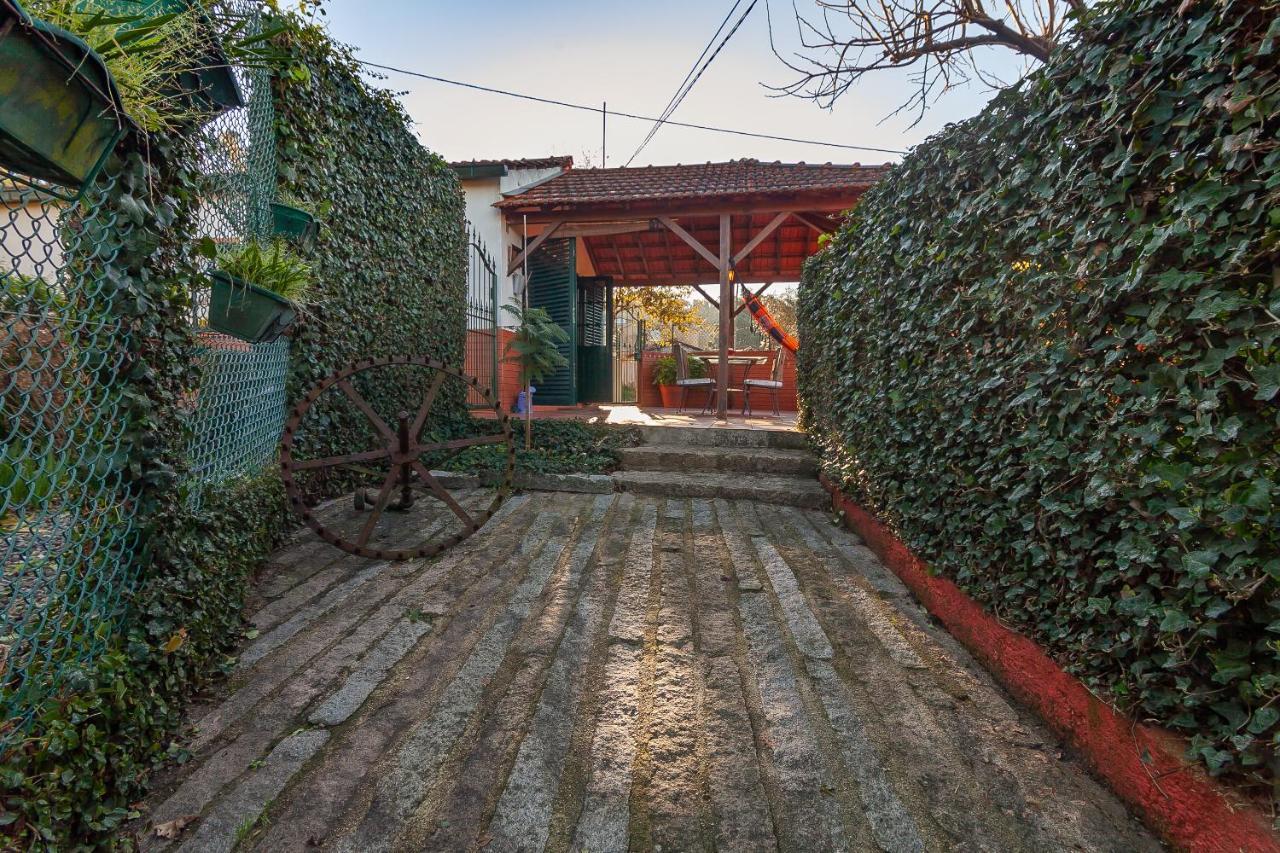 Vale Da Silva Villas - Homes Albergaria-a-Velha Bagian luar foto